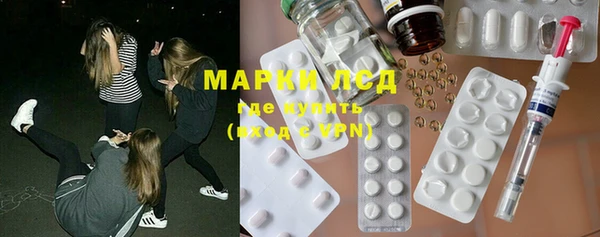 ПСИЛОЦИБИНОВЫЕ ГРИБЫ Абаза