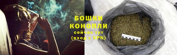 ПСИЛОЦИБИНОВЫЕ ГРИБЫ Абаза