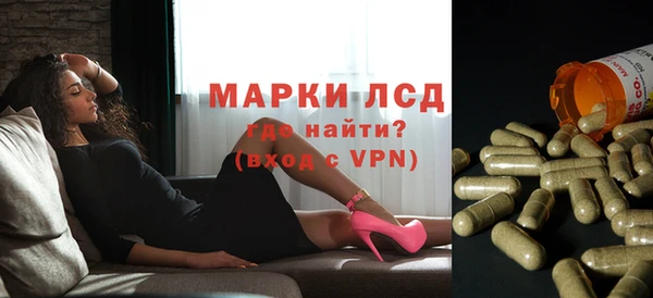 ПСИЛОЦИБИНОВЫЕ ГРИБЫ Абаза