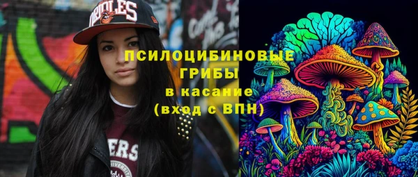 ПСИЛОЦИБИНОВЫЕ ГРИБЫ Абаза