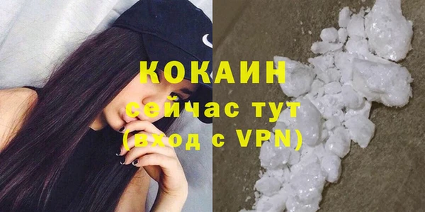 ПСИЛОЦИБИНОВЫЕ ГРИБЫ Абаза