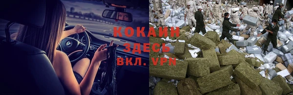 амф Россошь